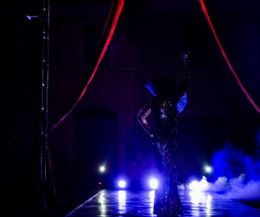 Locandina: Il Circo Contemporaneo