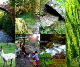 Locandina: Sabina in Trekking: sabato 17 con replica domenica 18 settembre