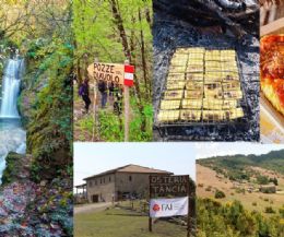Locandina: Sabato 14 con replica domenica 15 gennaio 2023