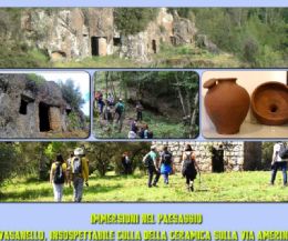Locandina: Vasanello