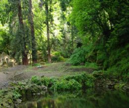 Locandina: Il parco Chigi e la locanda Martorelli